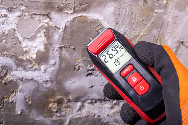 Best Commercial Mold Removal  in Three Way, TN