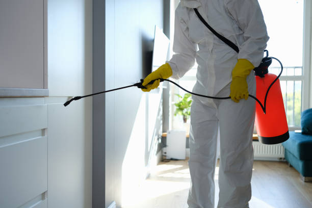 Best Local Mold Removal Service  in Three Way, TN